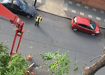 Bennetts Tree Care Ltd.