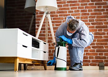 Bens Bugs Pest Control