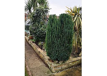 Ben's Gardening Services