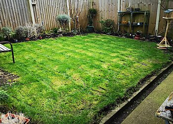 Ben's Gardening Services