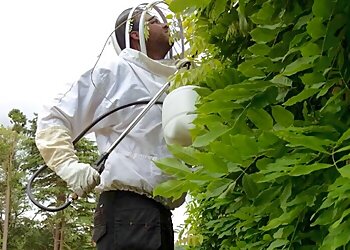 Bentley Environmental