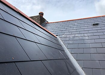 Berridge Roofing and Chimney Specialist
