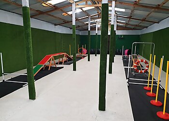 Beseeka Kennels & Cattery