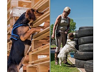 Best Behaviour Dog Training