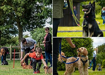 Best Behaviour Dog Training
