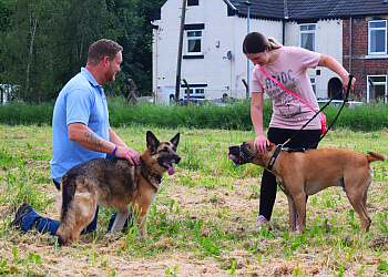 Best Behaviour K9 Training Academy Ltd