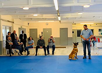 Best Behaviour K9 Training Academy Ltd