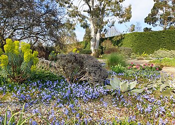 Beth Chatto's Plants & Gardens