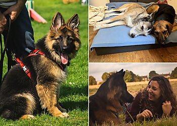 Better Nature Dog Training