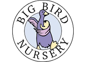 Big Bird Nursery