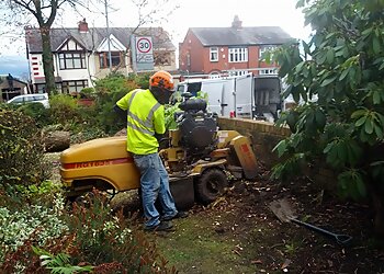 Sefton tree services Big Tree Liverpool image 1