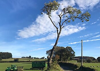 Birch Tree Services Ltd.