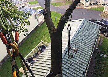 Birch Tree Services Ltd.