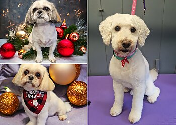 Birkhouse Dog Grooming