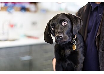 Biscot Mill Vet Centre