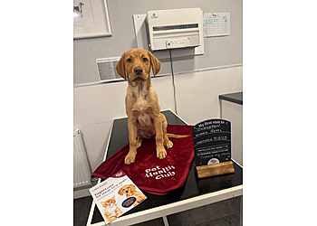 Bishopbriggs & Chryston Vets