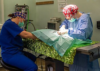 Bishopton Veterinary Group