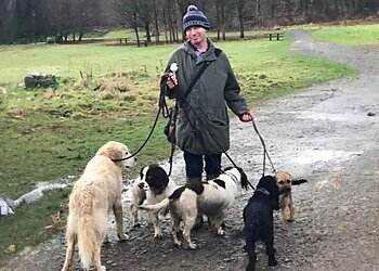 Bishopton dog walking services