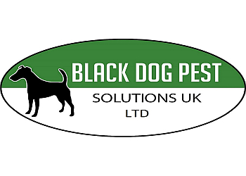 Walsall pest control Black Dog Pest Solutions UK, Ltd. image 1