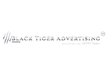 Dudley website designers Black Tiger Advertising Website designers image 1