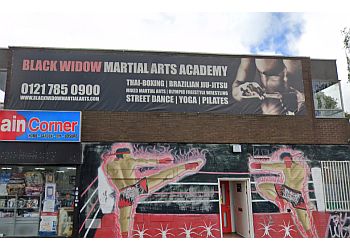 Black Widow Martial Arts Academy