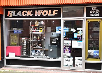 Black Wolf Locksmiths