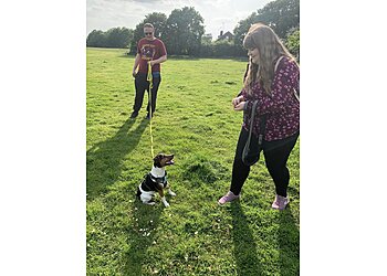 Black and White Dog Training