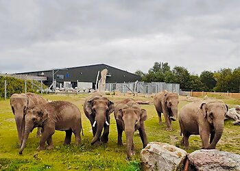 Blackpool Zoo