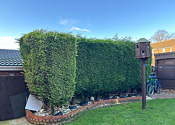 Blades Tree & Garden Care