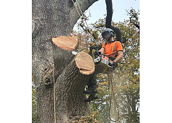 Blades Tree and Garden Care Blades Tree and Garden Care
