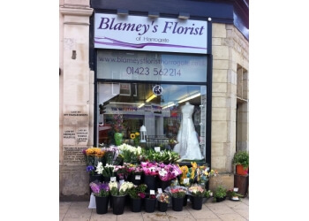 3 Best Florists In Harrogate Uk Expert Recommendations
