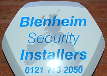 Blenheim Security Installers
