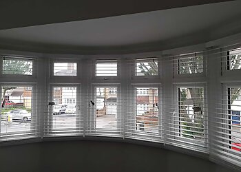Blindingly Obvious Window Blinds