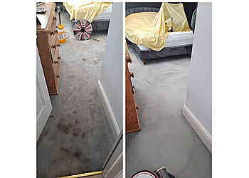 Blitz Carpet Cleaning