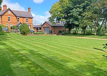 Blooming Pretty Gardening Services