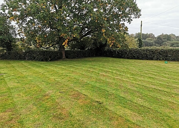 Blooming Pretty Gardening Services