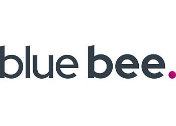Blue Bee 