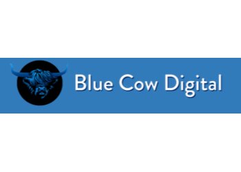 Sefton marketing agencies Blue Cow Digital image 1