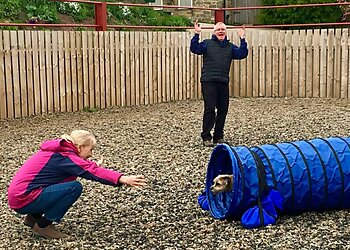 Blue Dog Canine Services