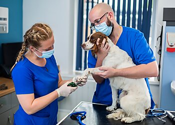 Blue House Veterinary Centre