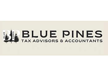 Wolverhampton tax service Blue Pines Tax Advisors & Accountants image 1