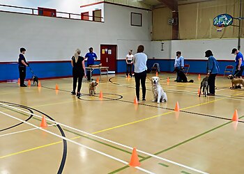 Blue Ridge Canine Academy Limited