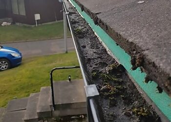 Blue Wave External Cleaning