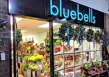 Bluebells Florist Lincoln