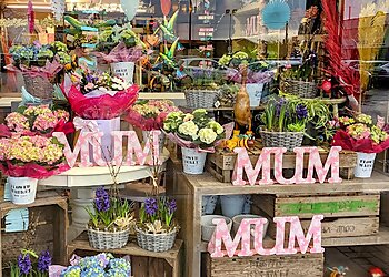 Bluebells Florist Lincoln