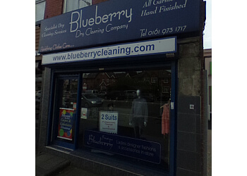 Blueberry Cleaning Company 