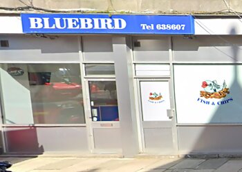 Bluebird