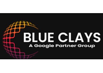 Dudley marketing agencies Blueclays  image 1