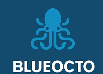 Blueocto Ltd