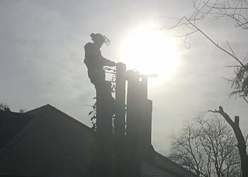 Boardway Tree & Ground Care